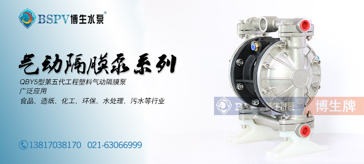 15不銹鋼隔膜泵參數-006.jpg